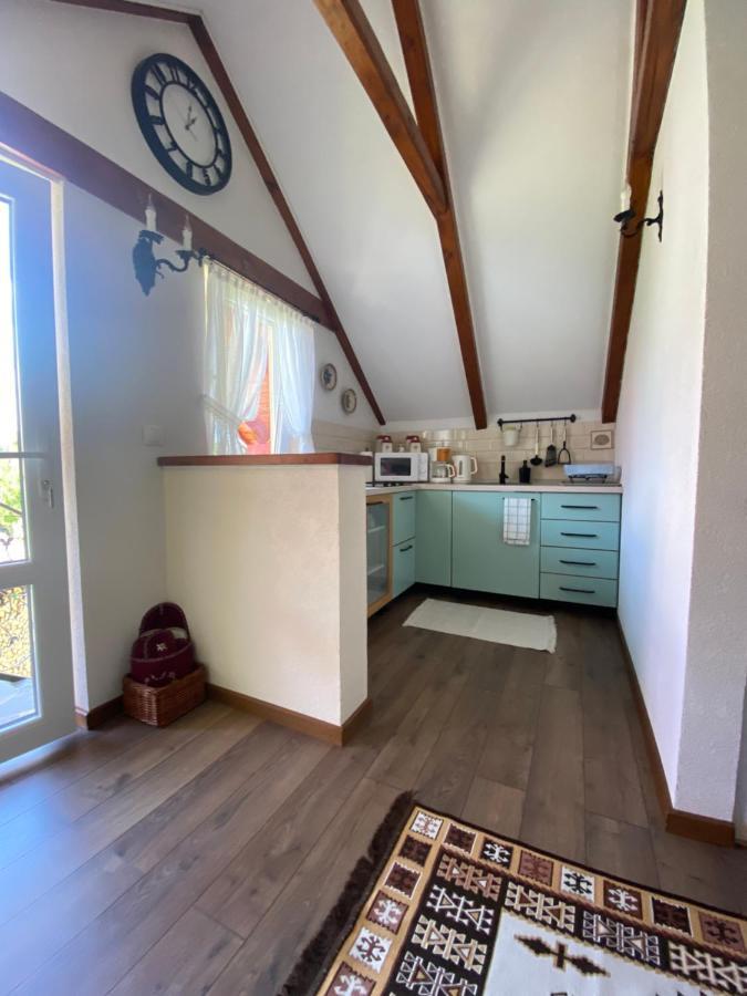Casa Moldovan Ocna Şugatag Esterno foto