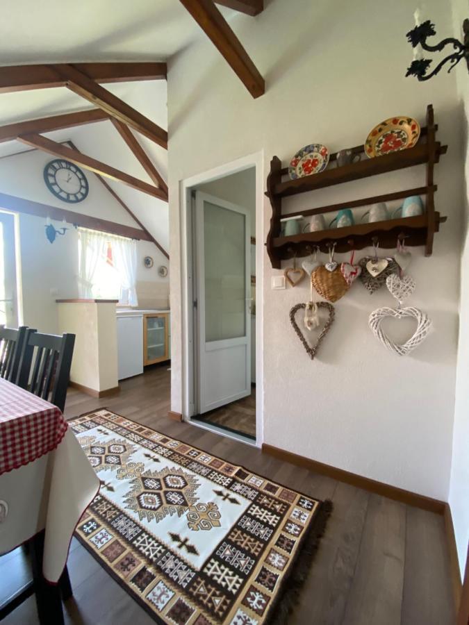 Casa Moldovan Ocna Şugatag Esterno foto